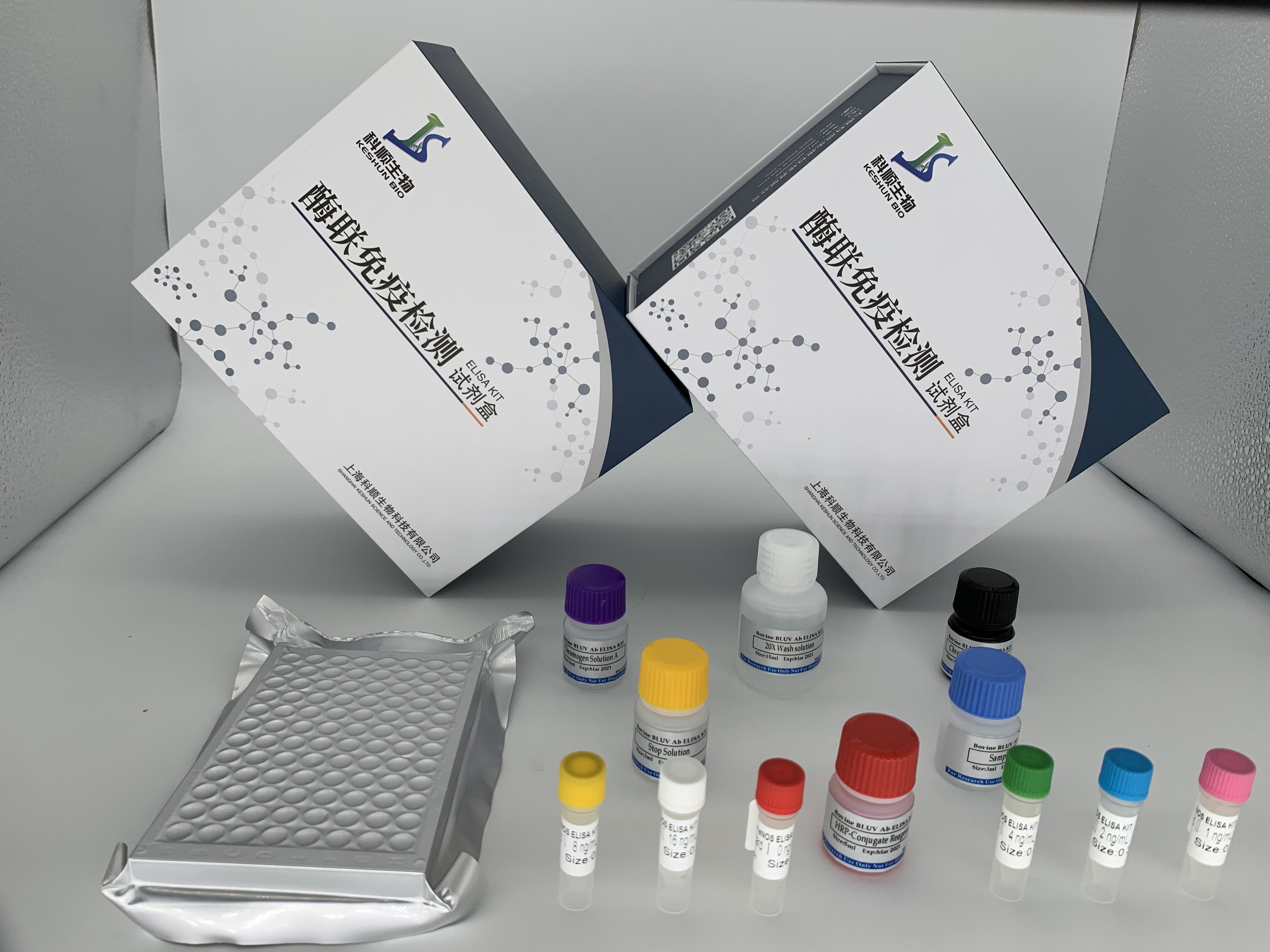 大鼠E选择素(E-Selectin/CD62E)ELISA试剂盒