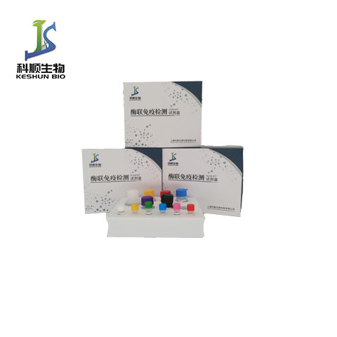 小鼠狂犬病毒糖蛋白（RVGp）ELISA试剂盒