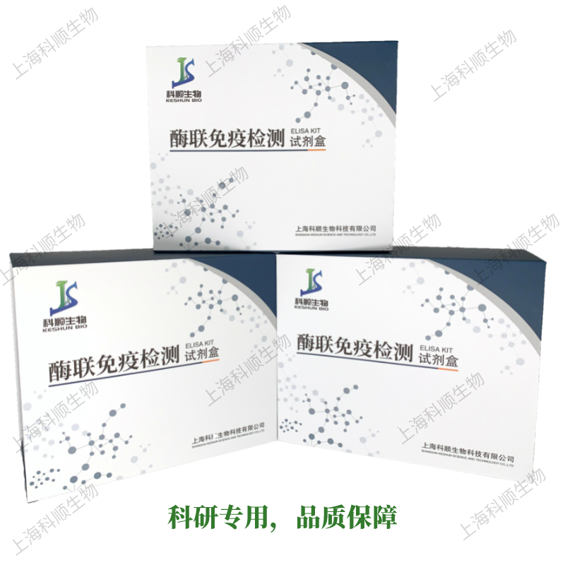 猪钠肽前体(MR - proANP)ELISA试剂盒