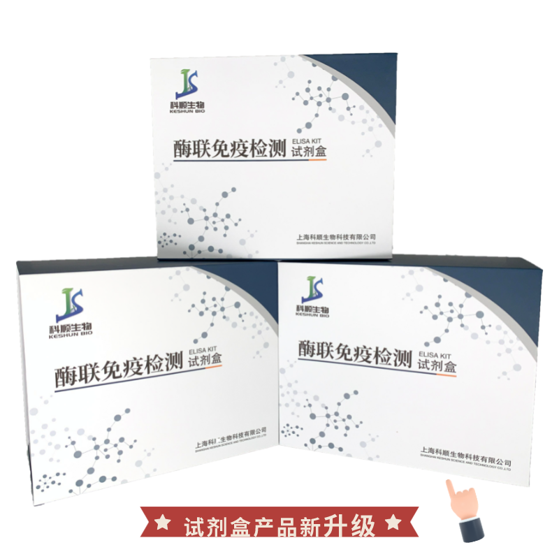  鸭新型呼肠孤病毒抗体（RV-Ab）ELISA试剂盒